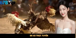 Đá gà trực tuyến