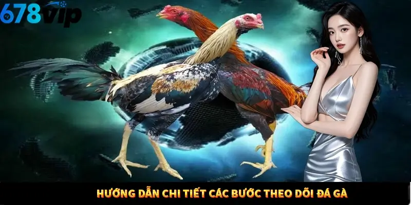 Hướng dẫn chi tiết các bước theo dõi đá gà