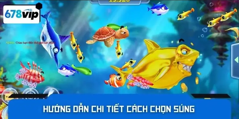 Hướng dẫn chi tiết cách chọn súng 