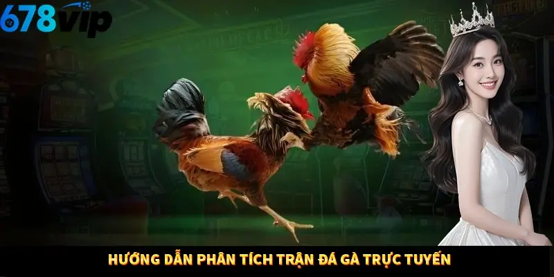 Hướng dẫn phân tích trận đá gà trực tuyến
