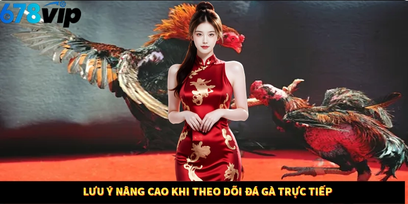 Lưu ý nâng cao khi theo dõi đá gà trực tiếp 