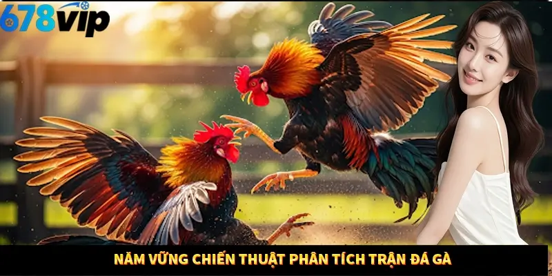 Nắm vững chiến thuật phân tích trận đá gà