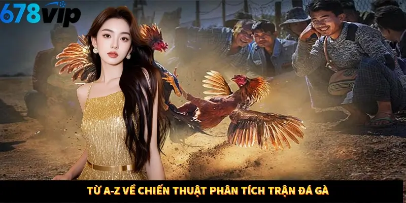 Từ A-z về chiến thuật phân tích trận đá gà